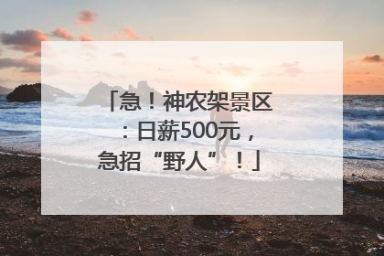 急！神农架景区：日薪500元，急招“野人”！