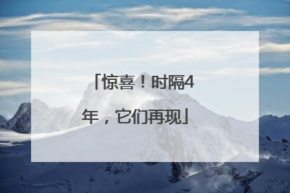 惊喜！时隔4年，它们再现