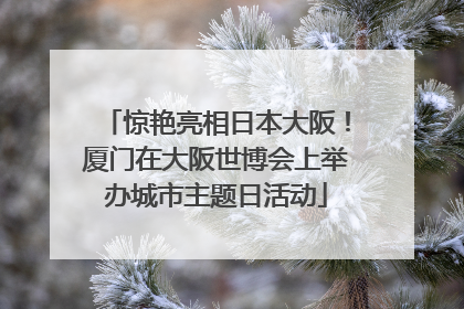 惊艳亮相日本大阪！厦门在大阪世博会上举办城市主题日活动