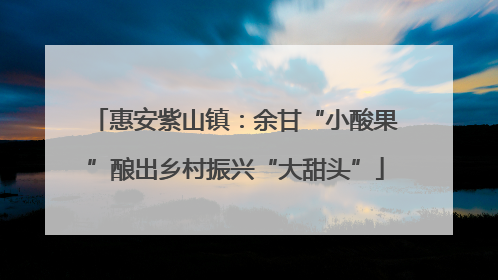 惠安紫山镇：余甘“小酸果”酿出乡村振兴“大甜头”