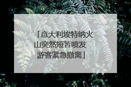 意大利埃特纳火山突然短暂喷发 游客紧急撤离