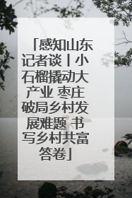 感知山东记者谈丨小石榴撬动大产业 枣庄破局乡村发展难题 书写乡村共富答卷