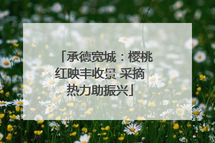 承德宽城：樱桃红映丰收景 采摘热力助振兴