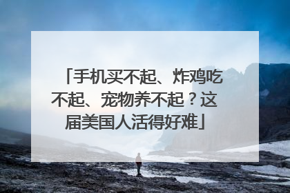 手机买不起、炸鸡吃不起、宠物养不起？这届美国人活得好难