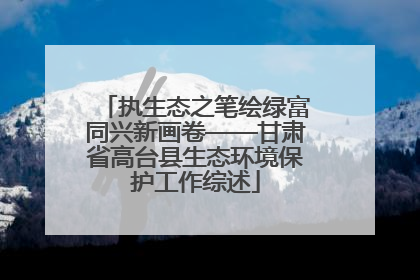 执生态之笔绘绿富同兴新画卷——甘肃省高台县生态环境保护工作综述