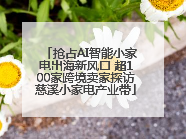 抢占AI智能小家电出海新风口 超100家跨境卖家探访慈溪小家电产业带