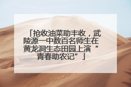 抢收油菜助丰收，武陵源一中数百名师生在黄龙洞生态田园上演“青春助农记”