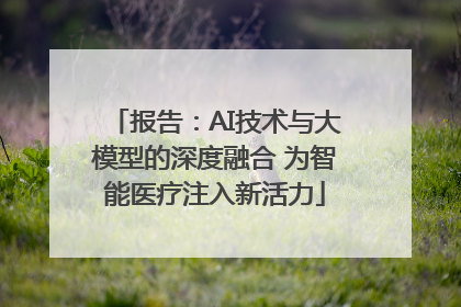 报告：AI技术与大模型的深度融合 为智能医疗注入新活力