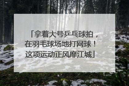 拿着大号乒乓球拍，在羽毛球场地打网球！这项运动正风靡江城
