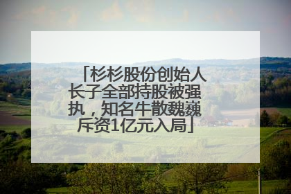 杉杉股份创始人长子全部持股被强执，知名牛散魏巍斥资1亿元入局