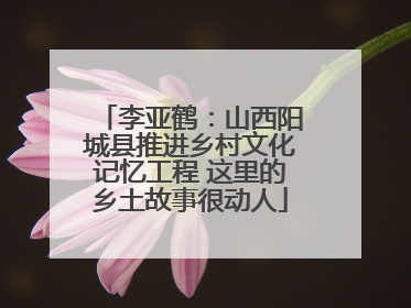 李亚鹤：山西阳城县推进乡村文化记忆工程 这里的乡土故事很动人