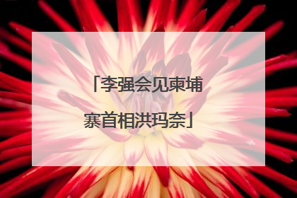 李强会见柬埔寨首相洪玛奈