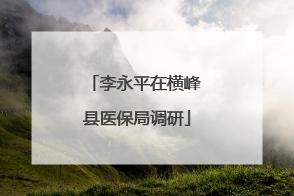 李永平在横峰县医保局调研