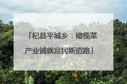 杞县平城乡：橄榄菜产业铺就富民新道路