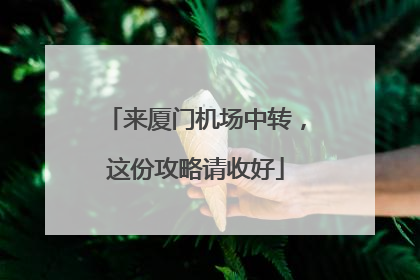 来厦门机场中转，这份攻略请收好