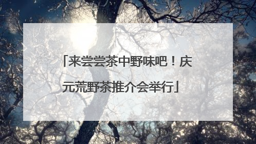 来尝尝茶中野味吧！庆元荒野茶推介会举行