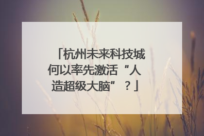 杭州未来科技城何以率先激活“人造超级大脑”？
