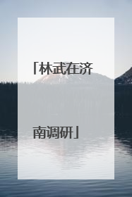 林武在济南调研