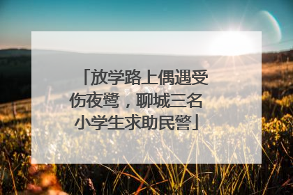 放学路上偶遇受伤夜鹭，聊城三名小学生求助民警