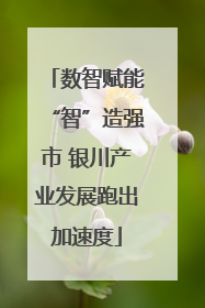 数智赋能“智”造强市 银川产业发展跑出加速度