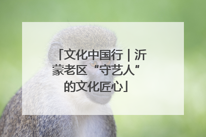 文化中国行｜沂蒙老区“守艺人”的文化匠心