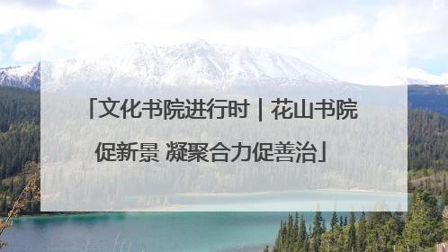 文化书院进行时｜花山书院促新景 凝聚合力促善治