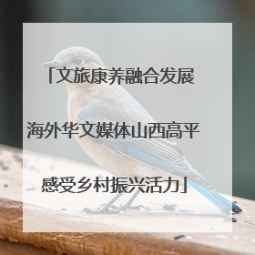 文旅康养融合发展 海外华文媒体山西高平感受乡村振兴活力
