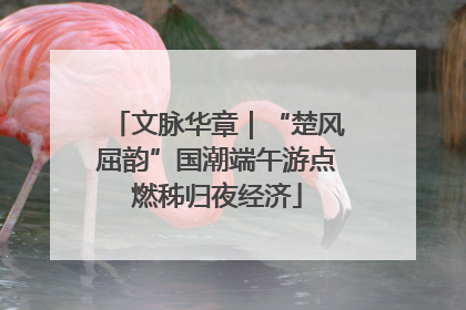 文脉华章｜“楚风屈韵”国潮端午游点燃秭归夜经济