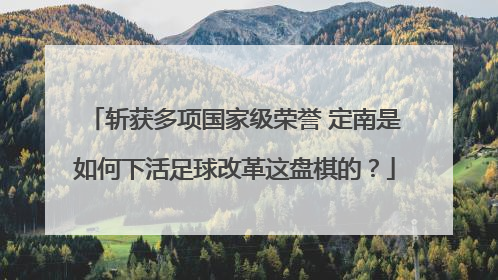 斩获多项国家级荣誉 定南是如何下活足球改革这盘棋的？