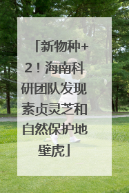 新物种+2！海南科研团队发现素贞灵芝和自然保护地壁虎