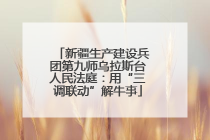 新疆生产建设兵团第九师乌拉斯台人民法庭：用“三调联动”解牛事