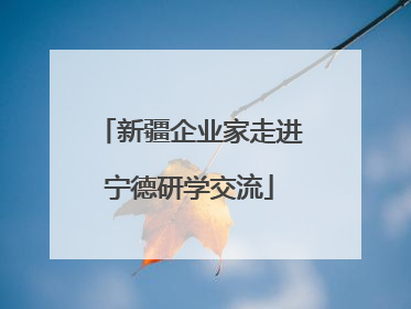 新疆企业家走进宁德研学交流