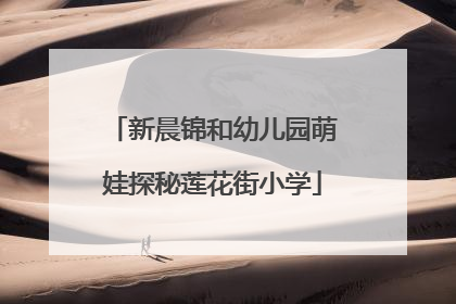 新晨锦和幼儿园萌娃探秘莲花街小学