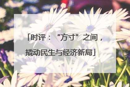 时评：“方寸”之间，撬动民生与经济新局