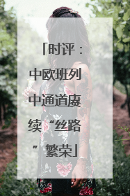时评：中欧班列中通道赓续“丝路”繁荣