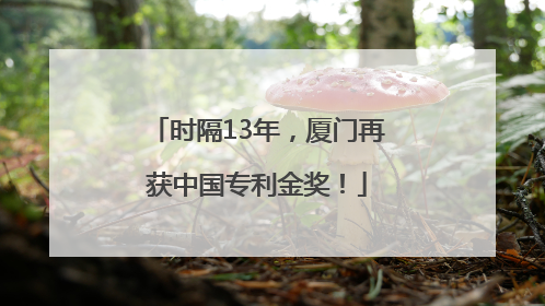 时隔13年，厦门再获中国专利金奖！
