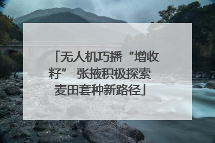 无人机巧播“增收籽” 张掖积极探索麦田套种新路径