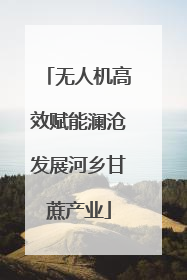 无人机高效赋能澜沧发展河乡甘蔗产业