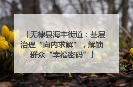 无棣县海丰街道：基层治理“向内求解”，解锁群众“幸福密码”