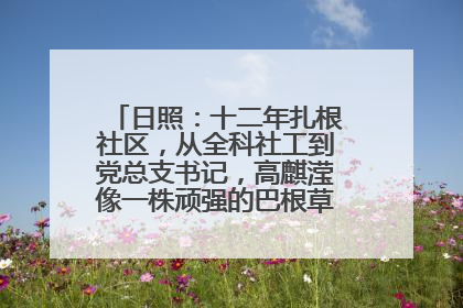 日照：十二年扎根社区，从全科社工到党总支书记，高麒滢像一株顽强的巴根草，把根深深扎进基层的土壤——“巴根草书记”的夏日叙事