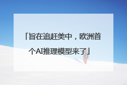旨在追赶美中，欧洲首个AI推理模型来了