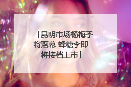昆明市场杨梅季将落幕 蜂糖李即将接档上市