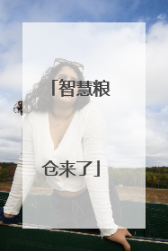 智慧粮仓来了
