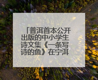 普洱首本公开出版的中小学生诗文集《一条写诗的鱼》在宁洱发布