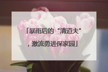 暴雨后的“清道夫”，激流勇进保家园