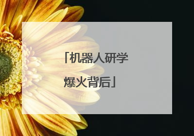 机器人研学爆火背后
