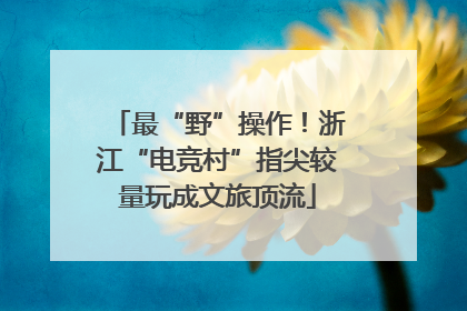 最“野”操作！浙江“电竞村”指尖较量玩成文旅顶流