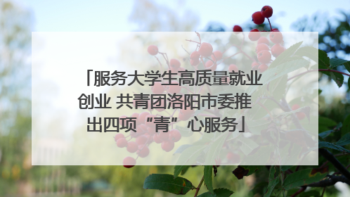 服务大学生高质量就业创业 共青团洛阳市委推出四项“青”心服务