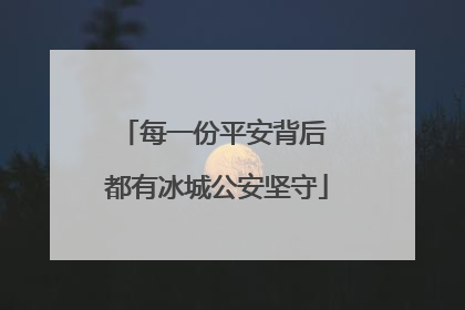 每一份平安背后 都有冰城公安坚守