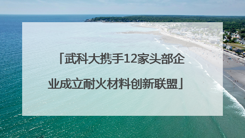 武科大携手12家头部企业成立耐火材料创新联盟